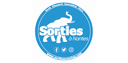 Sorties à Nantes : découvrez les soirées échecs avec Knight Clubbers